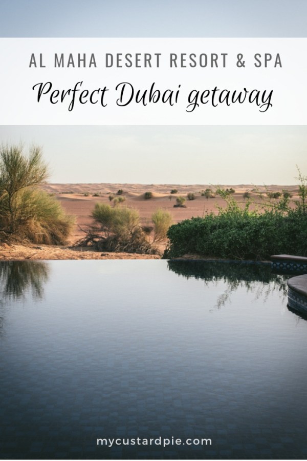 a view of private infinity pool and desert at Al Maha Desert resort and spa
