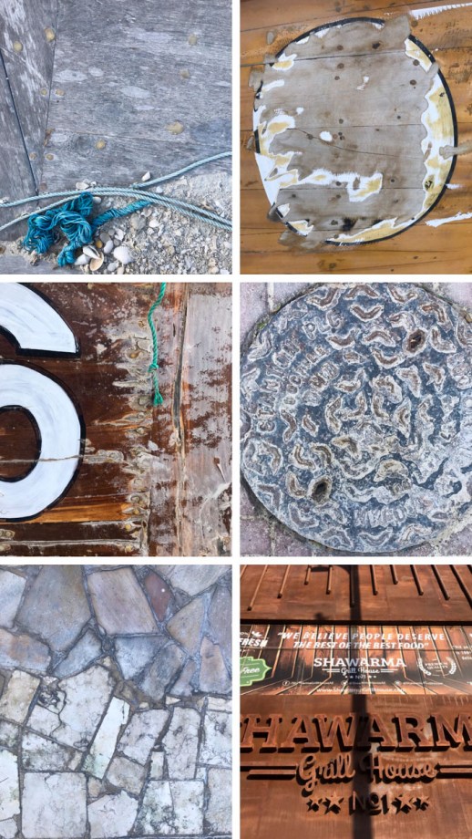 collage of different textures like tree trunks and pavement