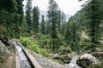 Himachal_Pradesh-05196