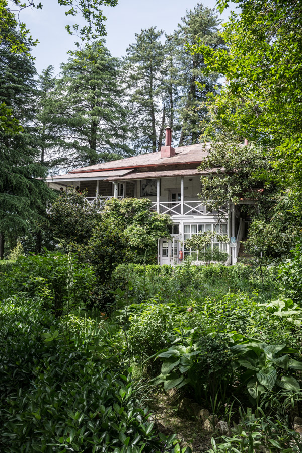garden Roerich's Memorial house