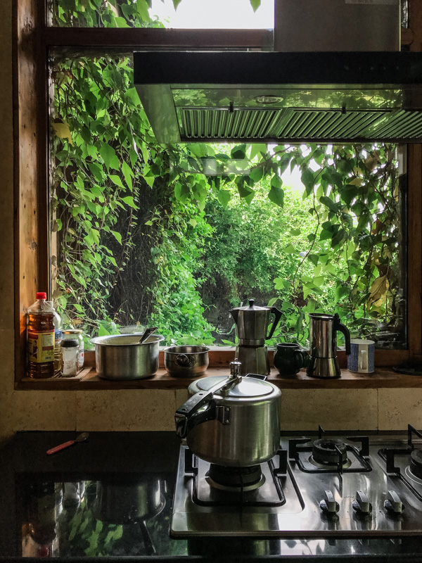 view from kitchen into garden