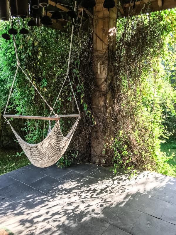 Hammock in a garden