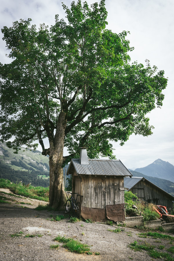 shed in farm yard