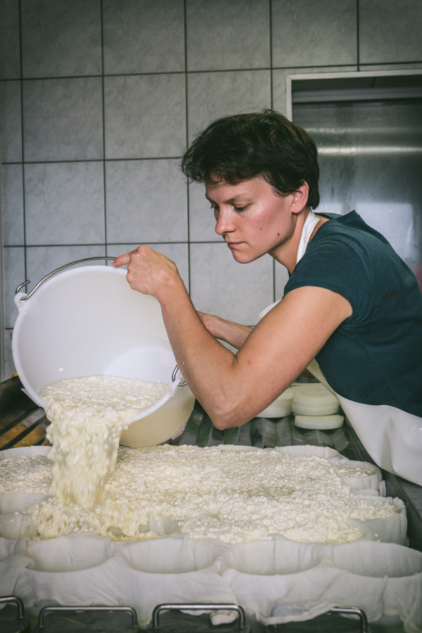 pouring the curds and whey into the moulds