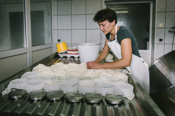shaping the curds into the moulds by hand