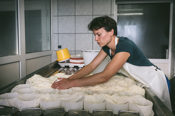 moulding the reblochon