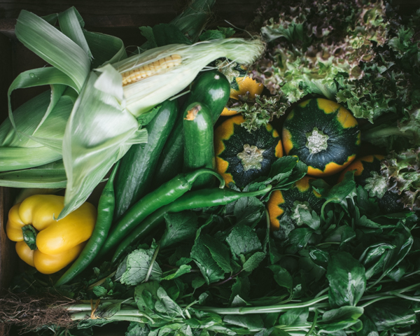 sweetcorn, pepper, cucumbers, chillis and courgettes