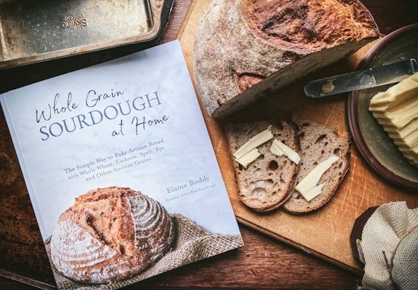 Sourdough by elaine boddy book